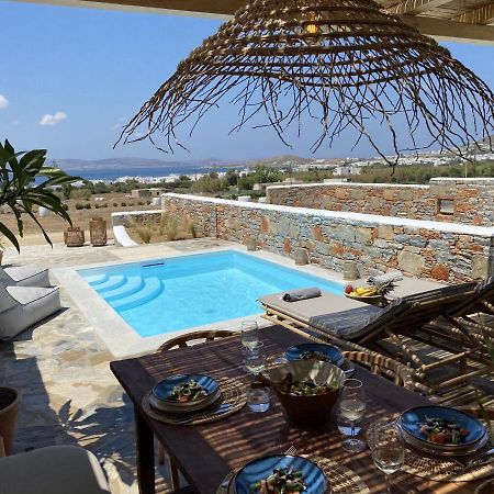 Villa Ypsilon Naxos - Luxury Holiday House With Amazing Sea View & Private Pool Agia Anna  Zewnętrze zdjęcie