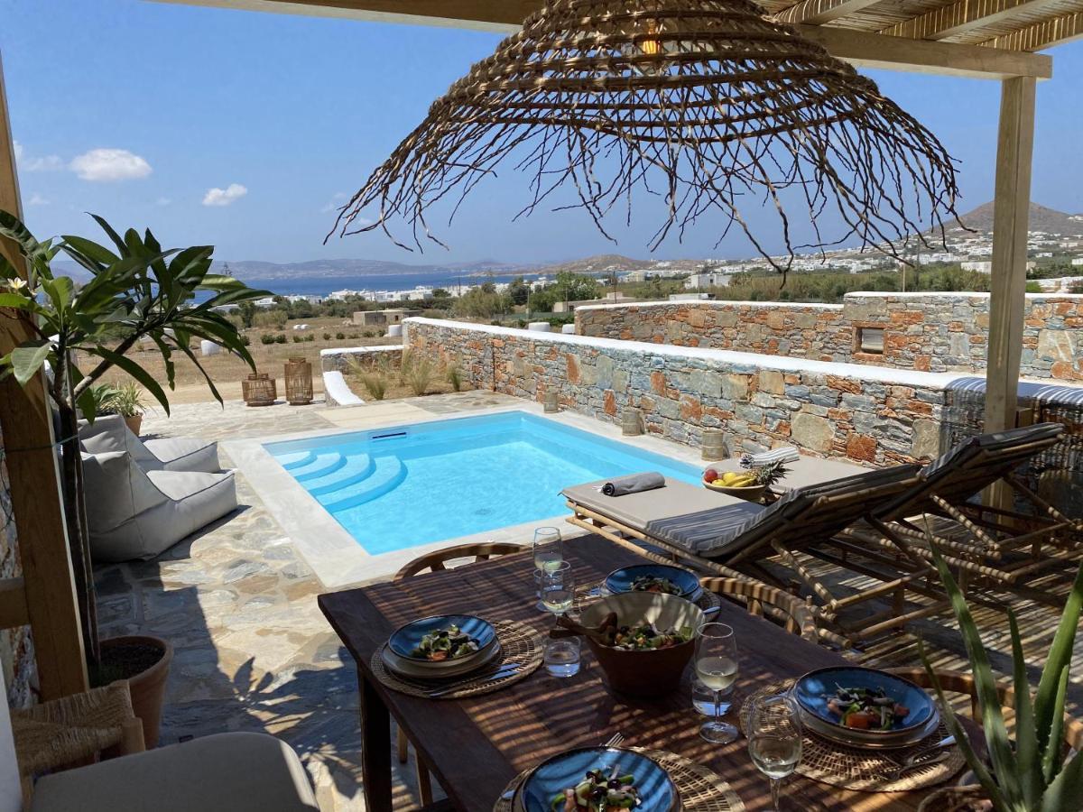 Villa Ypsilon Naxos - Luxury Holiday House With Amazing Sea View & Private Pool Agia Anna  Zewnętrze zdjęcie
