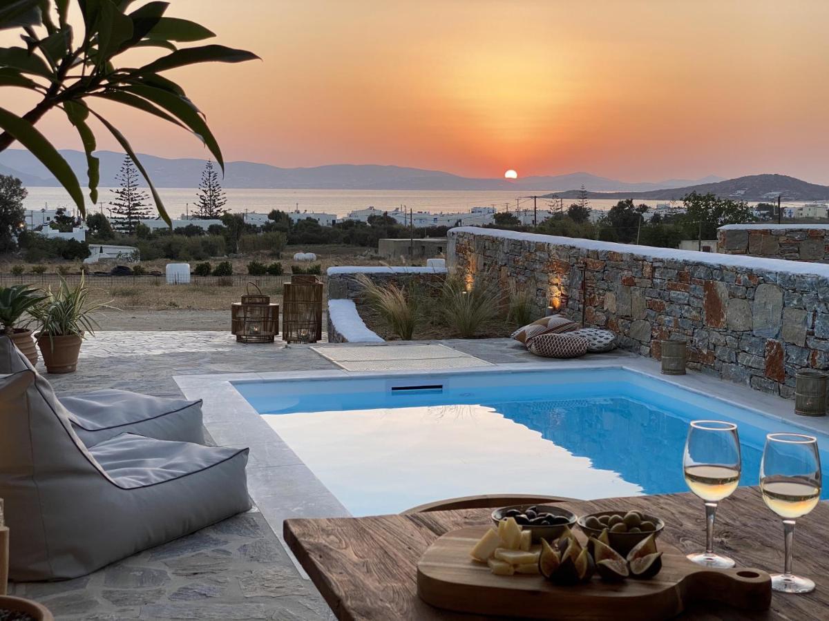 Villa Ypsilon Naxos - Luxury Holiday House With Amazing Sea View & Private Pool Agia Anna  Zewnętrze zdjęcie
