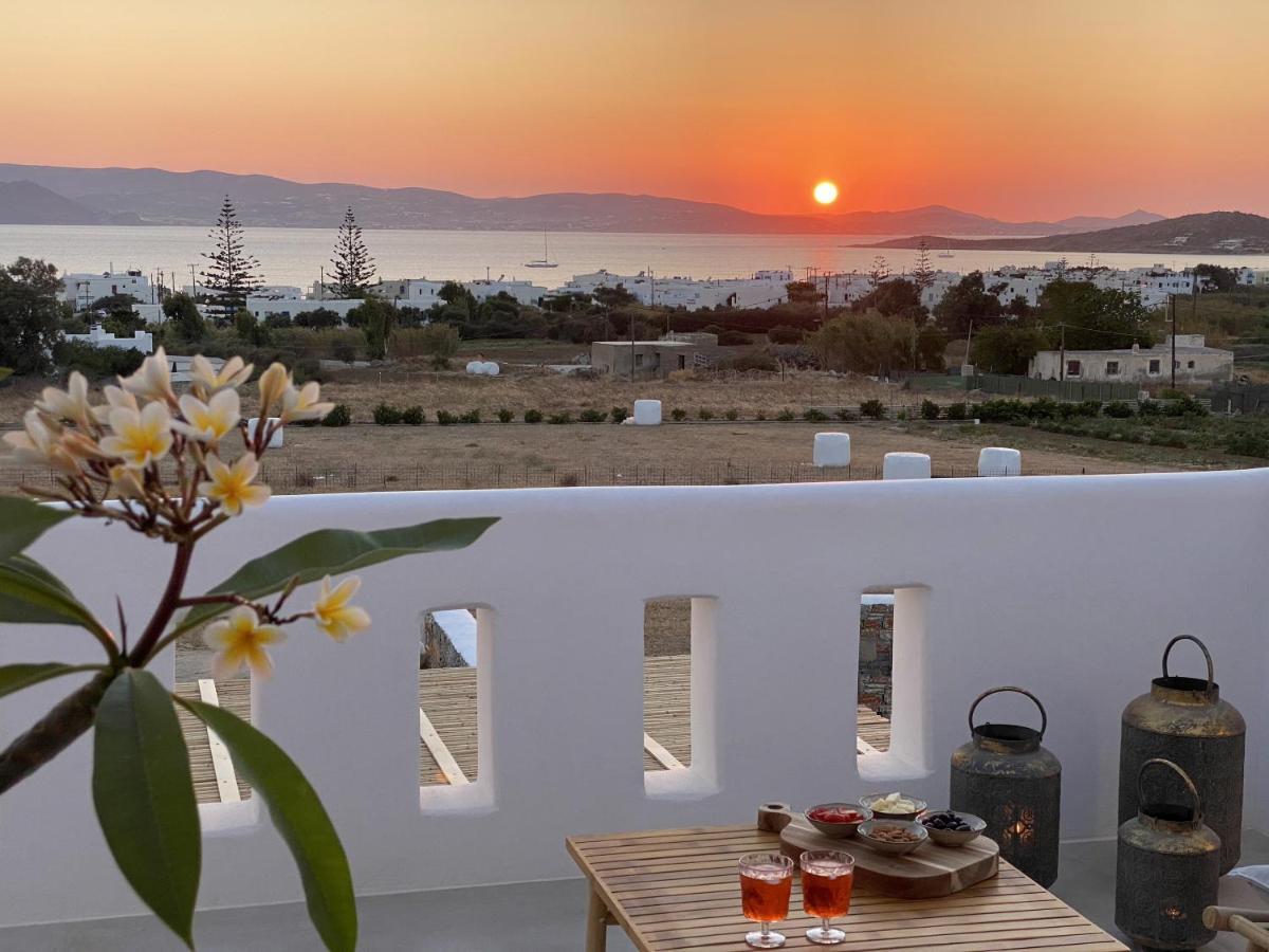 Villa Ypsilon Naxos - Luxury Holiday House With Amazing Sea View & Private Pool Agia Anna  Zewnętrze zdjęcie